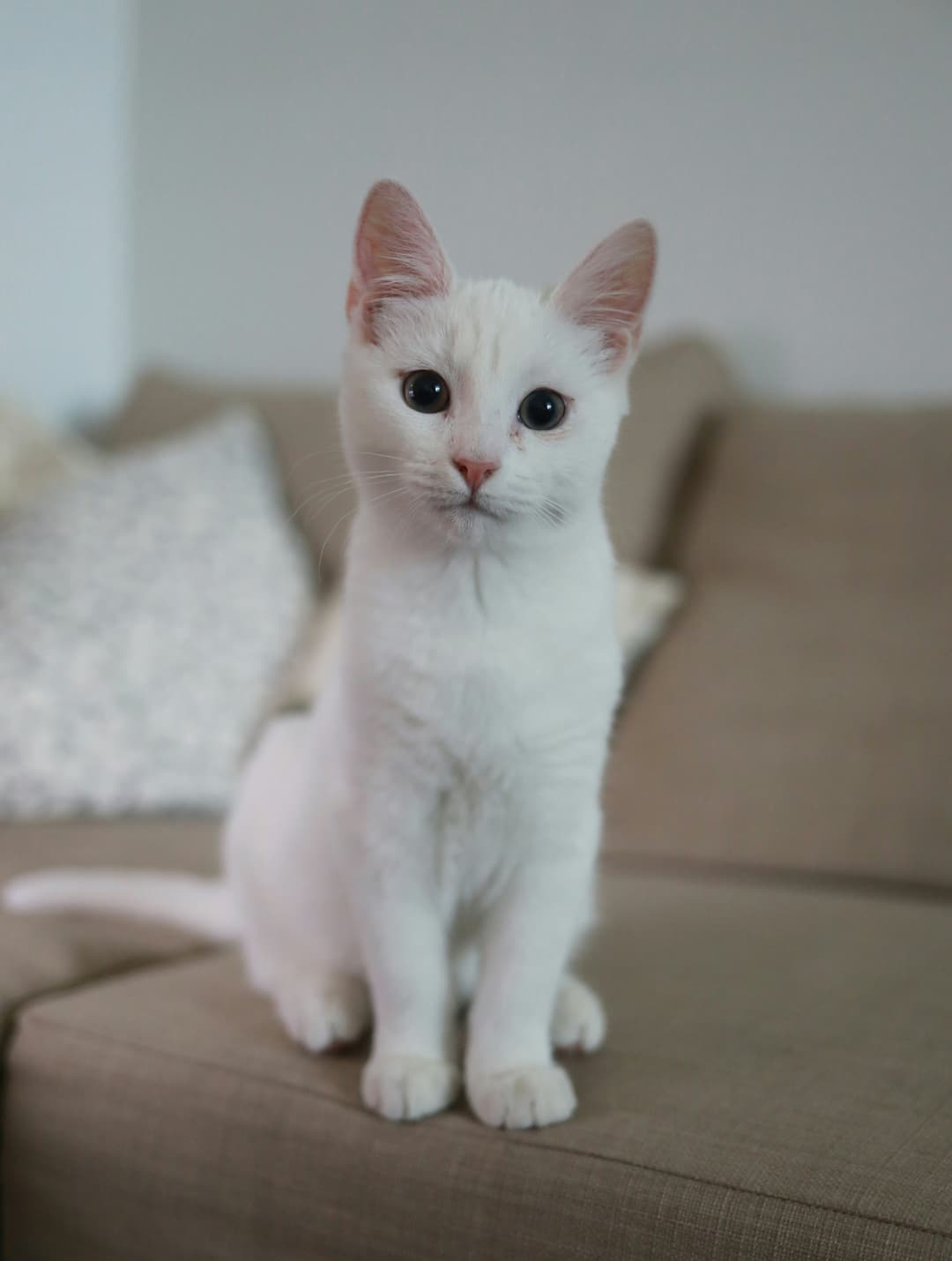 https://images.unsplash.com/photo-1518288774672-b94e808873ff